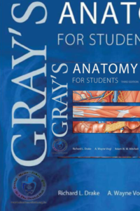 Grays Anatomy For Students 3rd Edition 200x300
